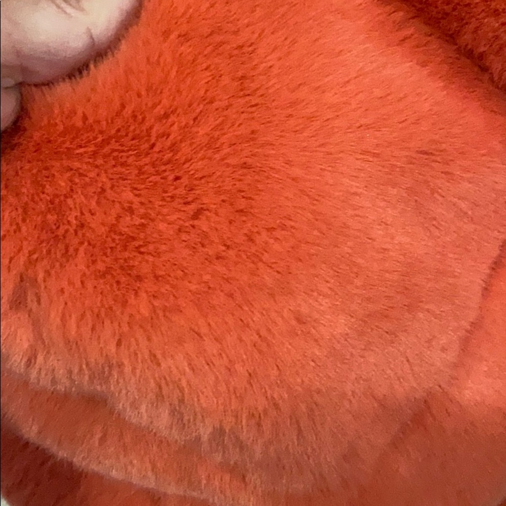 Jacket - Picture 5 of 5